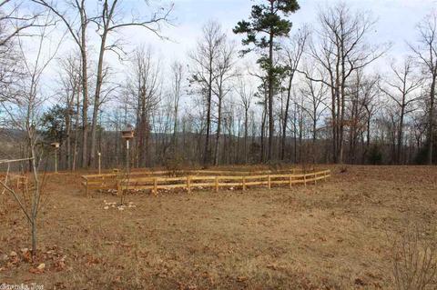 148 Thunder Ln, Mena, AR 71953 photo 33