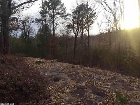 230 Terry Ln, Clinton, AR 72031 photo 14