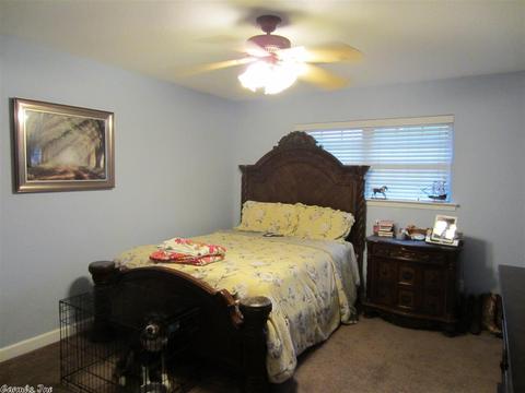 1123 Windsor Ct, Benton, AR 72019 photo 31
