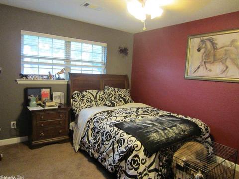 1123 Windsor Ct, Benton, AR 72019 photo 30