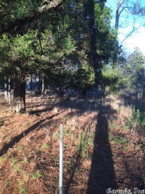 13011 Vimy Ridge Rd, Alexander, AR 72202 photo 2