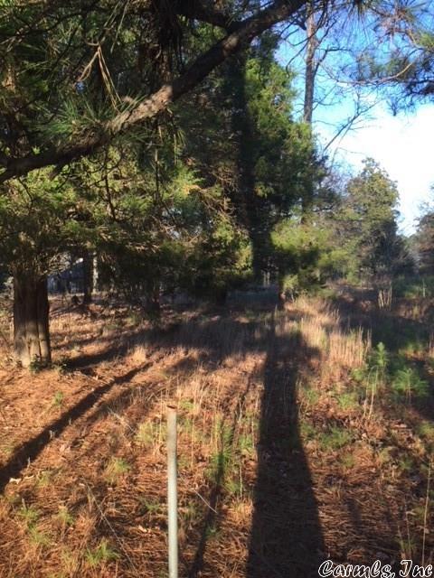 13011 Vimy Ridge Rd, Alexander, AR 72202 photo 6