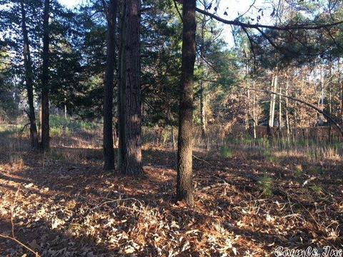 13011 Vimy Ridge Rd, Alexander, AR 72202 photo 1