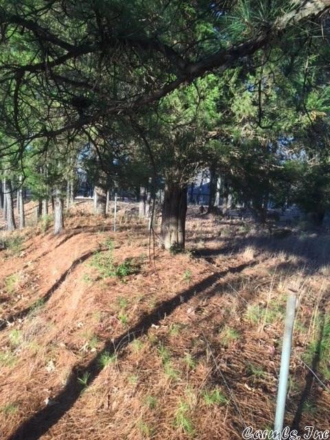 13011 Vimy Ridge Rd, Alexander, AR 72202 photo 3