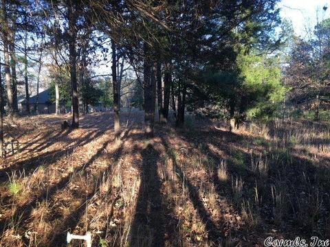 13011 Vimy Ridge Rd, Alexander, AR 72202 photo 5