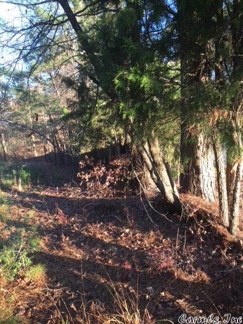 13011 Vimy Ridge Rd, Alexander, AR 72202 photo 7