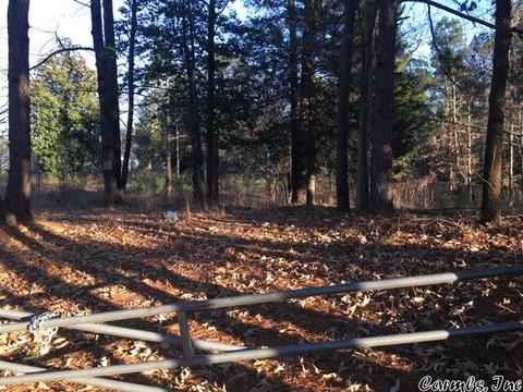 13011 Vimy Ridge Rd, Alexander, AR 72202 photo 4