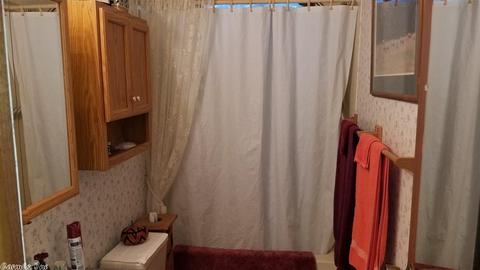 128 South St, Midway, AR 72651 photo 8