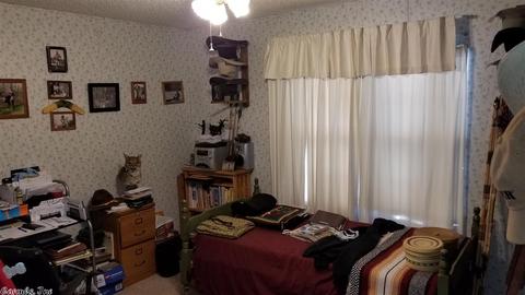128 South St, Midway, AR 72651 photo 9
