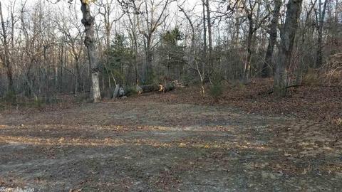 128 South St, Midway, AR 72651 photo 19