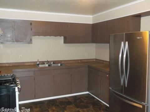 134 Ray Dr, Mount Ida, AR 71957 photo 5