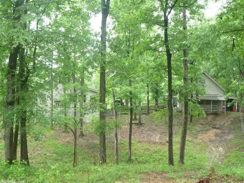 390 Wheeler Ln, Mount Ida, AR 71957 photo 22