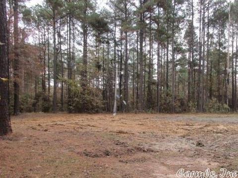 495 Grant 19, Grapevine, AR 72057 photo 1