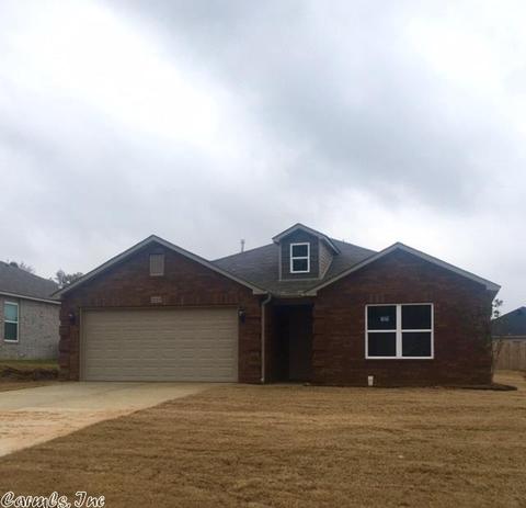 3168 Sage Grass Ln, Alexander, AR 72002 photo 1