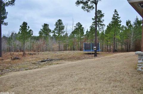 4181 Lake Norrell Rd, Alexander, AR 72002 photo 32