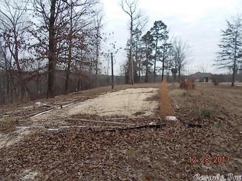 4850 Dixie Ln, Benton, AR 72019 photo 2