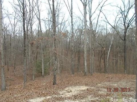 4850 Dixie Ln, Benton, AR 72019 photo 3