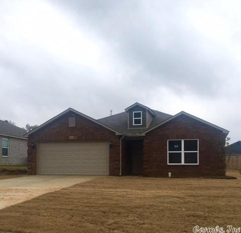 3064 Sage Grass Ln, Alexander, AR 72002 photo 1