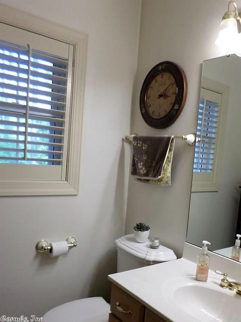1050 Silver Leaf Dr, Alexander, AR 72002 photo 29