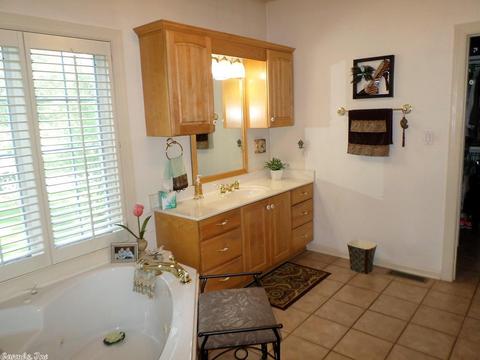 1050 Silver Leaf Dr, Alexander, AR 72002 photo 21