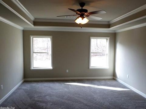 258 Reuben Dr, Alexander, AR 72002 photo 10