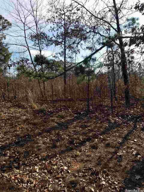 107 Billy Moon Rd, Romance, AR 72136 photo 2