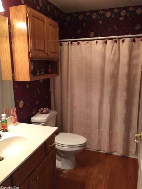 75 Darlene, Edgemont, AR 72044 photo 12