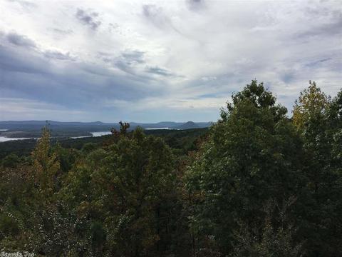 75 Darlene, Edgemont, AR 72044 photo 36