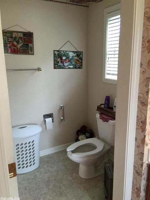 75 Darlene, Edgemont, AR 72044 photo 20