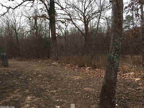 36 Audubon Dr, Conway, AR 72032 photo 5