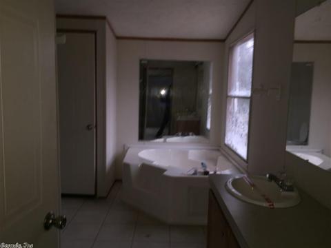 36 Audubon Dr, Conway, AR 72032 photo 19