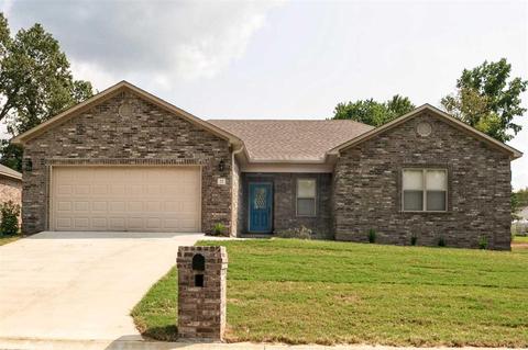 35 Sierra Dr, Austin, AR 72007 photo 1