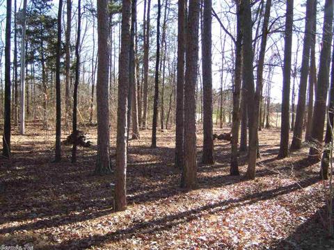 660 Goff Rd, Quitman, AR 72131 photo 19