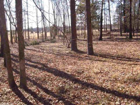 660 Goff Rd, Quitman, AR 72131 photo 16