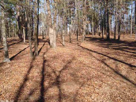 660 Goff Rd, Quitman, AR 72131 photo 12