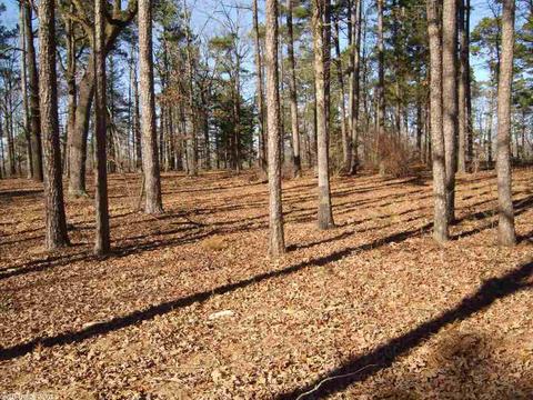 660 Goff Rd, Quitman, AR 72131 photo 20