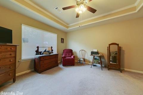 501 Crepe Myrtle, Cabot, AR 72023 photo 23