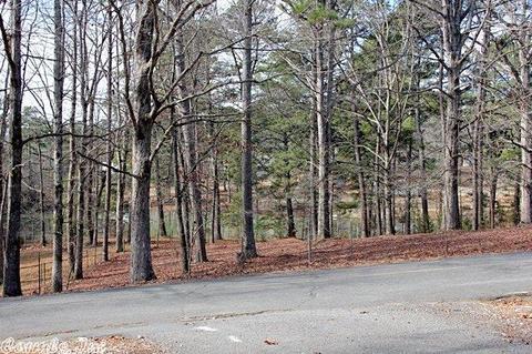 4266 Mcgee Rd, Benton, AR 72019 photo 30