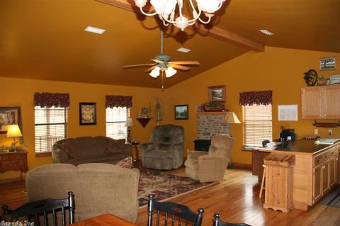 225 S Riverview Ln, Mountain View, AR 72560 photo 5