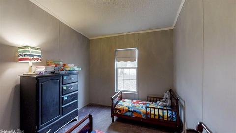 2 Cold Springs Trl, Conway, AR 72032 photo 21