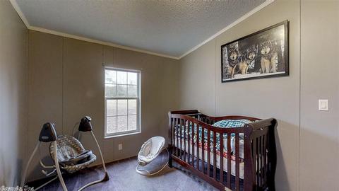 2 Cold Springs Trl, Conway, AR 72032 photo 25