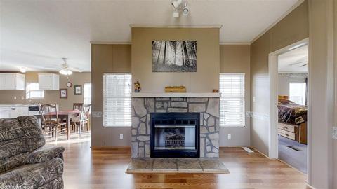 2 Cold Springs Trl, Conway, AR 72032 photo 3