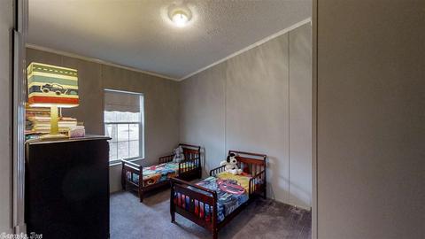 2 Cold Springs Trl, Conway, AR 72032 photo 20
