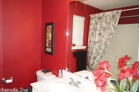 12 Apache Cir, Lonoke, AR 72086 photo 20