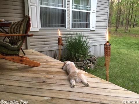 3759 Hwy 270 E, Mount Ida, AR 71957 photo 5