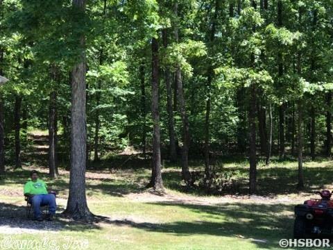 3759 Hwy 270 E, Mount Ida, AR 71957 photo 2