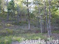 33 Oak Dr, Conway, AR 72032 photo 1