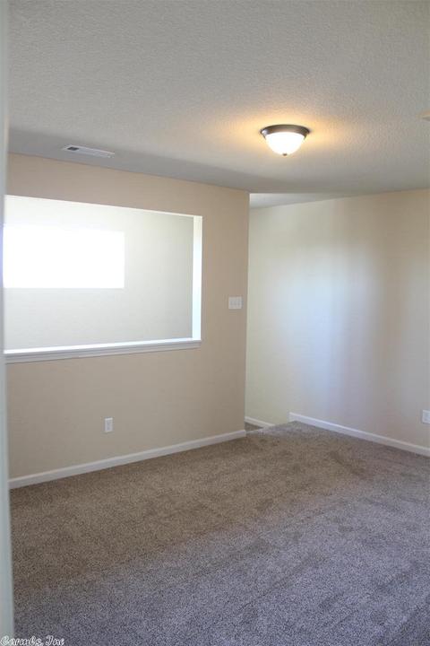 14464 Skyline Dr, Alexander, AR 72002 photo 13