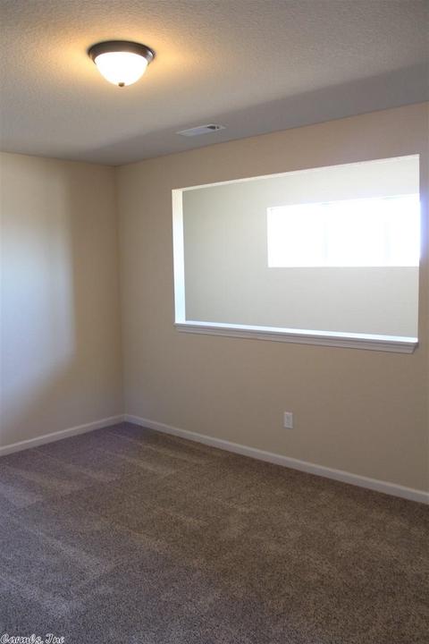14464 Skyline Dr, Alexander, AR 72002 photo 12