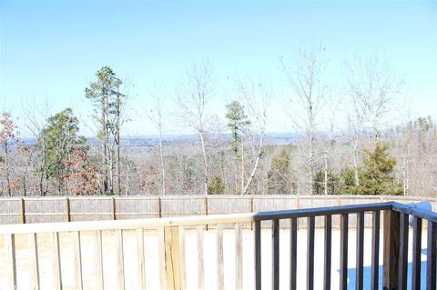 14464 Skyline Dr, Alexander, AR 72002 photo 22